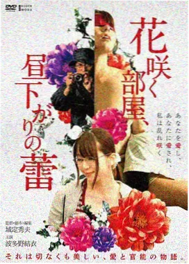 看看视频推荐-肖申克的救赎